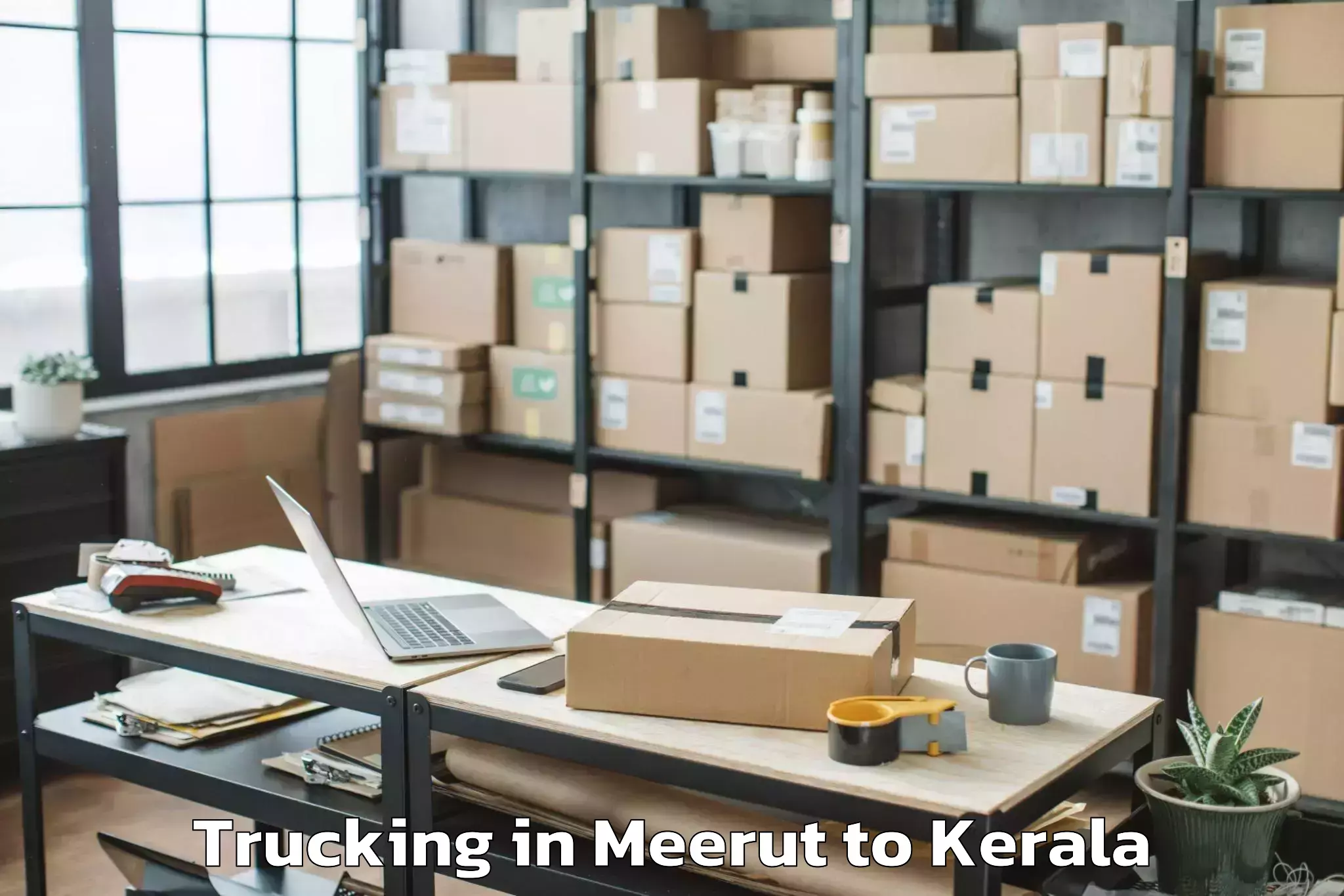 Professional Meerut to Ottapalam Trucking